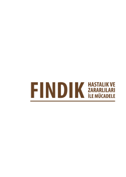 Fındık - TC Gıda Tarım ve Hayvancılık Bakanlığı