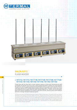 balon ısıtıcı flask heater - Termal Laboratuvar Aletleri