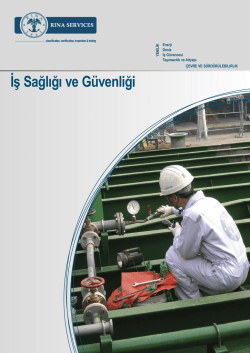 İş Sağlığı ve G&uuml;venliği