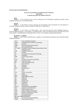 havaalanı emniyet standartları talimatı