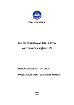 &ouml;klidyen olmayan bir uzayda weıtzenb&ouml;ck eşitsizliği