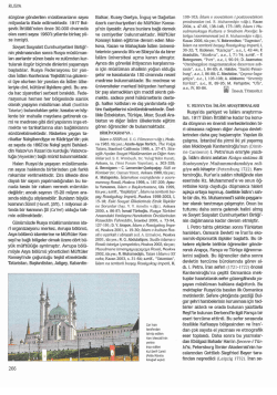 TDV DIA - İslam Ansiklopedisi