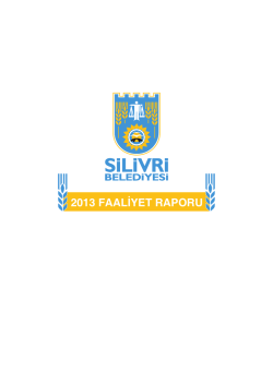 2013 FAALİYET RAPORU