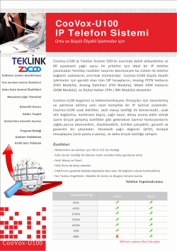 CooVox-U100 IP Telefon Sistemi