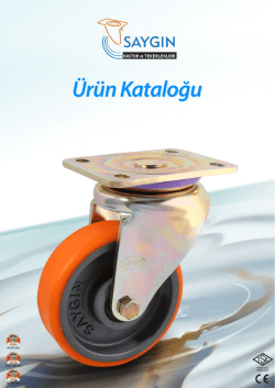 Saygın Kastor 2014 Ürün Kataloğu PDF dosyası için tıklayınız.