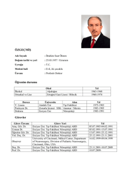 Prof. Dr. İbrahim Suat &Ouml;ktem