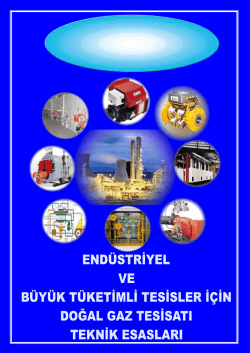 end&uuml;strġyel ve b&uuml;y&uuml;k t&uuml;ketġmlġ tesġsler ġ&ccedil;ġn doğal gaz