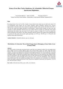 Konya Ovası Bazı Tuzlu Alanlarına Ait Arbusk&uuml;ler