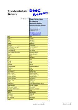 Grundwortschatz T&uuml;rkisch - DMC