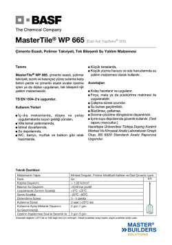 MasterTile&reg; WP 665 (Eski Adı Yapfleks&reg; 305) &Ccedil;imento