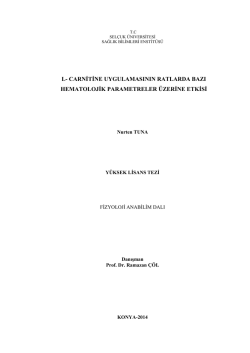 l - Sel&ccedil;uk &Uuml;niversitesi Dijital Arşiv Sistemi