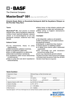 MasterSeal&reg; 591(Eski Adı WATERPLUG&reg;) &Ccedil;imento