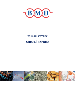 2014 ııı. &ccedil;eyrek strateji raporu