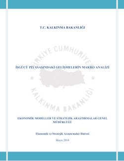 Işg&uuml;c&uuml; Piyasasındaki Gelişmelerin Makro Analizi