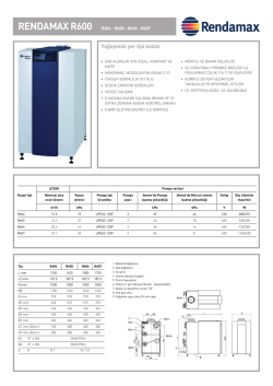 RENDAMAX R600