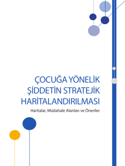&ccedil;ocuğa y&ouml;nelik şiddetin stratejik haritalandırılması