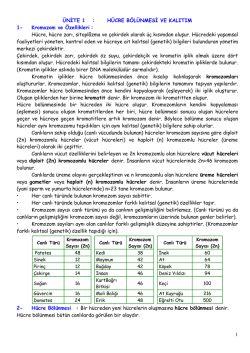1.&uuml;nite - bayfen