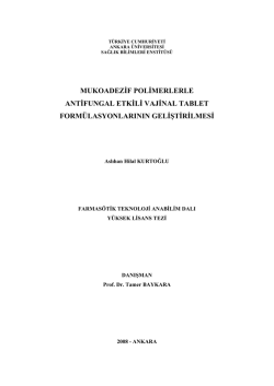 G&ouml;r&uuml;nt&uuml;le - Ankara &Uuml;niversitesi A&ccedil;ık Erişim Sistemi