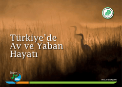 İDAR&Icirc; YARGI MUHTEMEL M&Uuml;NHAL LİSTESİ