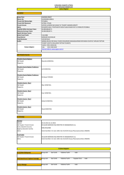 I-a) Şirket Şirket T&uuml;r&uuml; ANONİM ŞİRKET Mersis No