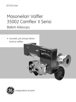 Masoneilan* Valfler 35002 Camflex* II Serisi