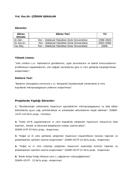 Do&ccedil;. Dr. &Ccedil;iğdem IŞIKALAN