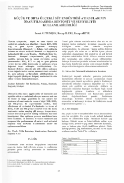 İsmet AL TUNIŞIK, Recep İLE Rİ, Recep ARTlR I. GIRIŞ