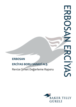 G&uuml;reli Denetim Erbosan Rapor