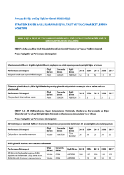 Avrupa Birliği ve Dış İlişkiler Genel M&uuml;d&uuml;rl&uuml;ğ&uuml; STRATEJİK EKSEN 3