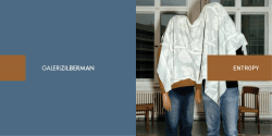 ENTROPY - Galeri Zilberman