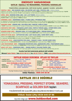 SATILIK 2012 DOĞUMLU YONAGUSKA, PRESSING