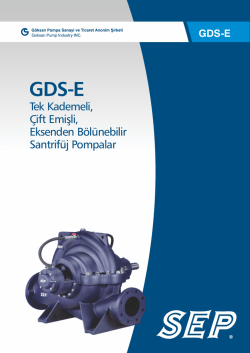 GDS-E Yatay Milli Pompa ve Motor Ölçüleri
