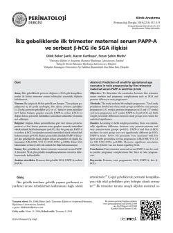 PDF Olarak İndir