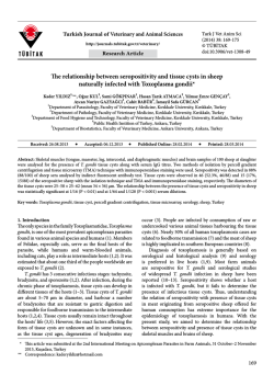 The relationship between seropositivity and