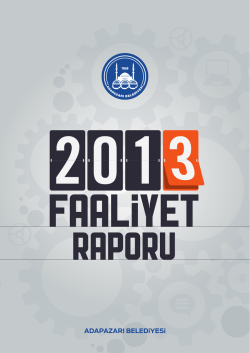 2013 Yılı Faaliyet Raporu