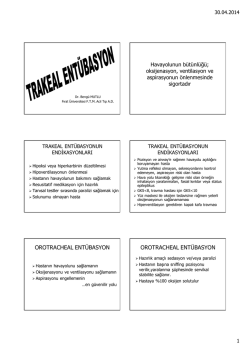 Belge_TRAKEAL ENT&Uuml;BASYON_UI