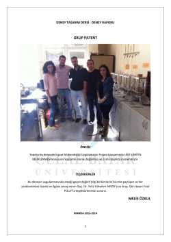 &Ouml;rnek Deney Raporu