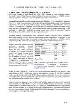 kurumsal y&ouml;netim ilkelerine uyum raporu 2013