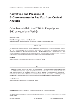 Karyotype and Presence of B-Chromosomes in Red