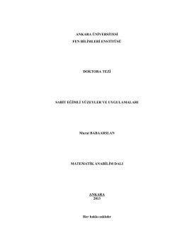 ANKARA &Uuml;NİVERSİTESİ FEN BİLİMLERİ ENSTİT&Uuml;S&Uuml; DOKTORA