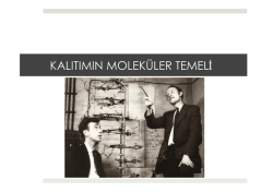 16. B&Ouml;L&Uuml;M - Prof. Dr. Bektaş TEPE