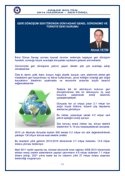 GERİ D&Ouml;N&Uuml;Ş&Uuml;M SEKT&Ouml;R&Uuml;N&Uuml;N D&Uuml;NYADAKİ GENEL