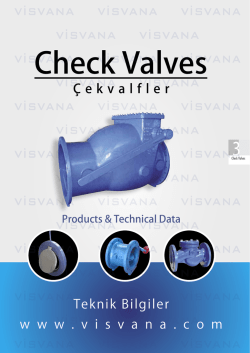 check valve