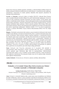 Lamiaceae - Biyoloji Kongreleri