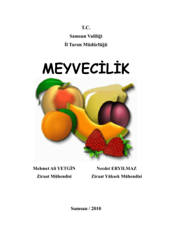 MEYVECİLİK - Samsun İl Gıda Tarım ve Hayvancılık M&uuml;d&uuml;rl&uuml;ğ&uuml;