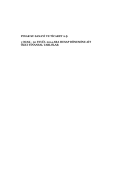 9 Aylık Finansal Tablolar