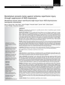 Montelukast prevents testes against ischemia