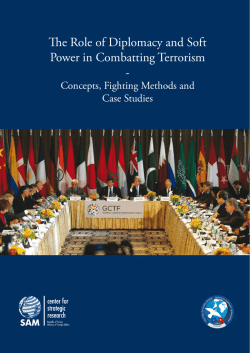 The Role of Diplomacy and Soft Power in Combatting Terrorism -