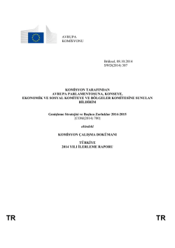 2014 İlerleme Raporu - Avrupa Birliği Bakanlığı