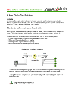 2 Kanal Analog Telefon Fiber Optik &Ccedil;evirici